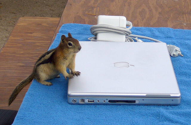 Una manzana al día: sacar el máximo provecho de la antigua ardilla de MacBooks