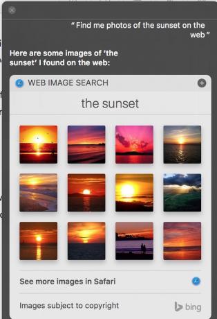 Siri encuentra fotos de Sunset en la web