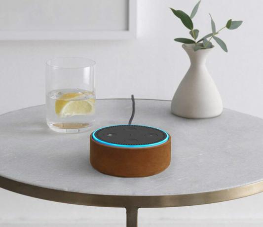 Estuche Amazon Echo Dot