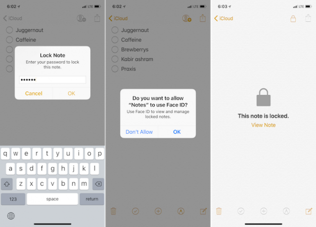 Funciones de Apple Notes - Notas de bloqueo
