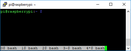 Lista de ventana de terminal de pantalla GNU