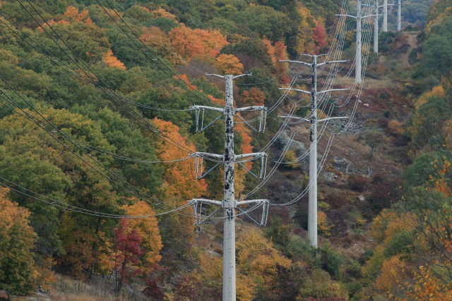 cables de fibra