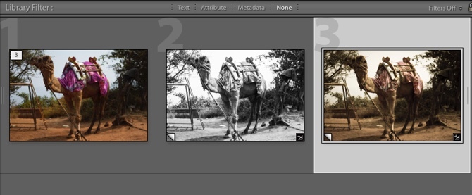 Lightroom - Copias virtuales con ediciones aplicadas
