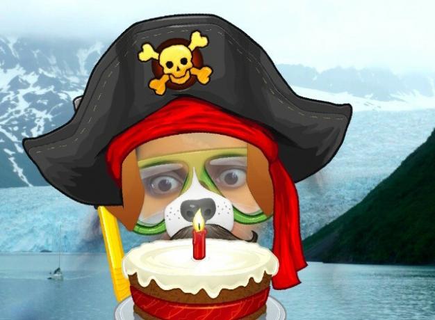 perro pirata