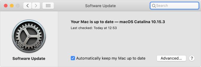 Página de preferencias del sistema de actualización de software en macOS