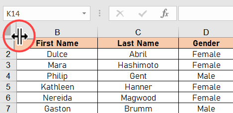 Mostrar la primera columna en Excel