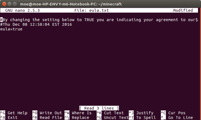 Minecraft Eula cierto