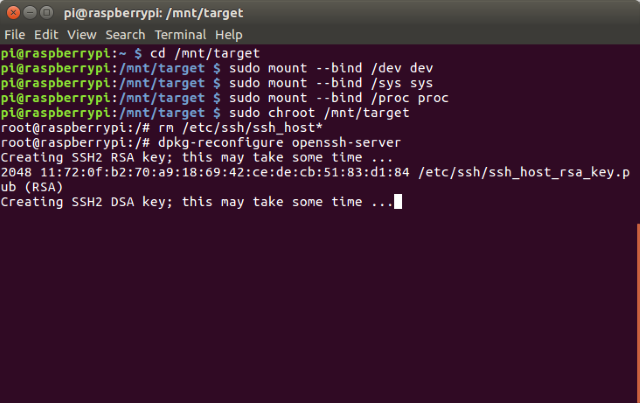 Linux Terminal Boot Raspberry Pi 3 con USB SSH