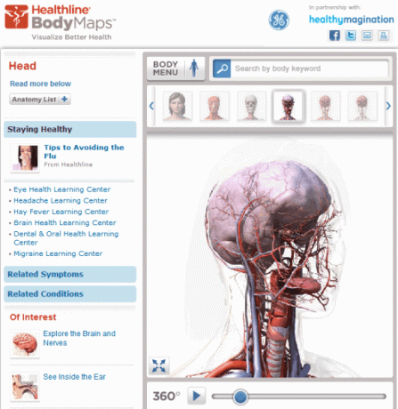 Cuerpo humano 3d