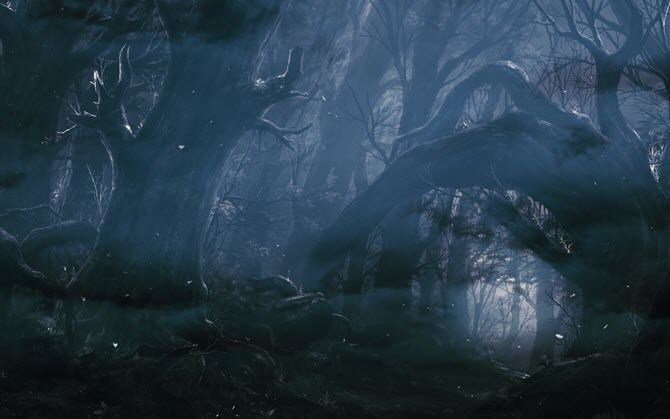Dark Forest Wallpaper de WallHaven
