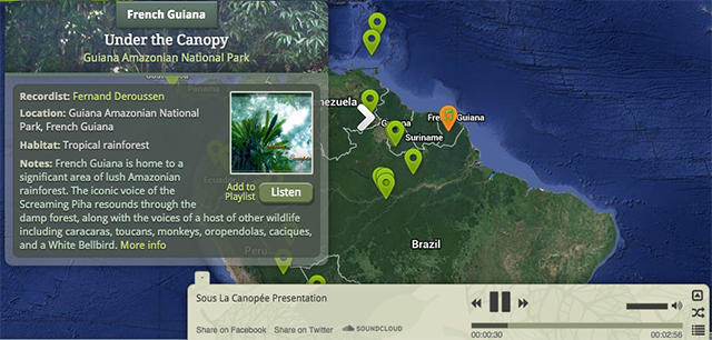 naturaleza-mapa-de-sonido