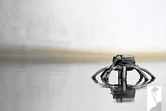 4 maneras de hacer marcas de agua en sus imágenes Picmarkr en línea image image 1