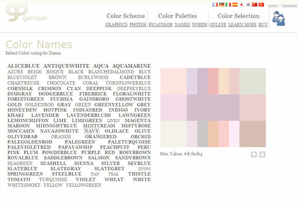 paleta de color