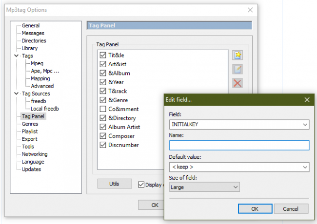 Panel de etiquetas personalizadas Mp3tag