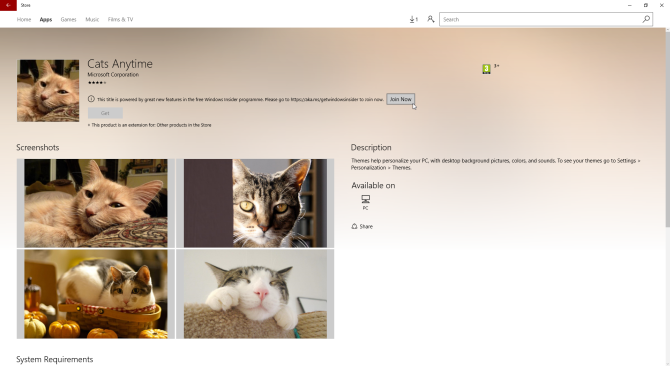 Windows 10 gatos temáticos en todas partes