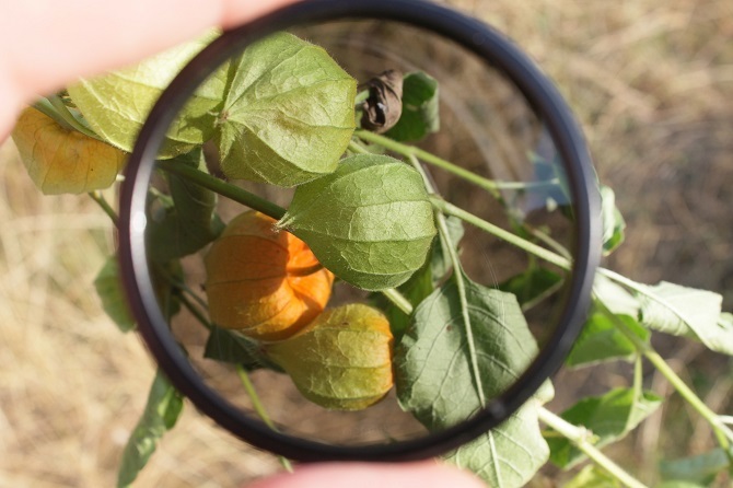 consejos de fotografía - lente polarizadora