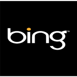 Bing presenta la búsqueda sin tipo: ¿funciona? [Noticias] bing 1