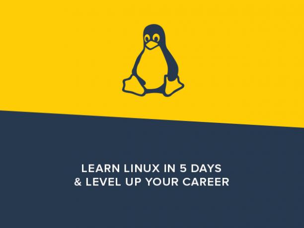 5 cursos para ayudarte a dominar Linux y la línea de comandos apilar la carrera de Linux