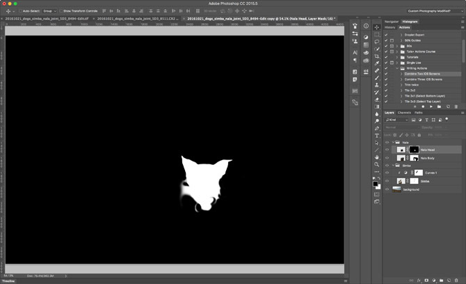 Nala Head Mask en Adobe Photoshop