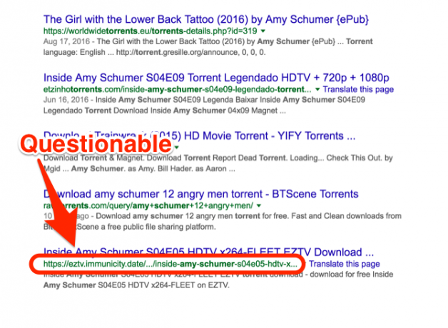 URL de Amy Schumer Torrent