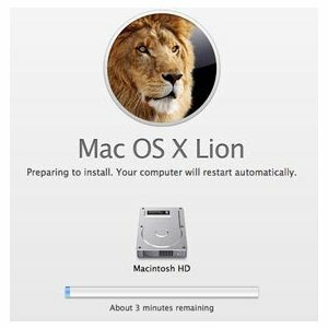 ¿Tiene problemas para instalar OS X Lion? Las unidades de pulgar traen nueva esperanza [Noticias] appleinstall1