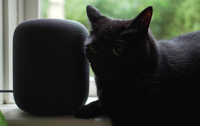 Apple Homepod todo lo que necesita saber