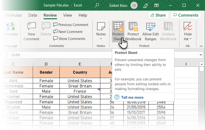 Haga clic en Proteger hoja en Excel