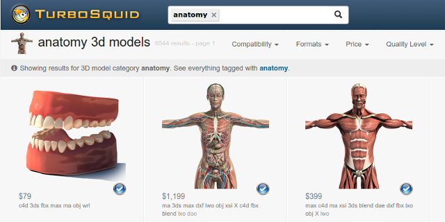 3d-anatomy-models-turbosquid