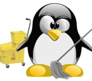 limpiar y limpiar linux