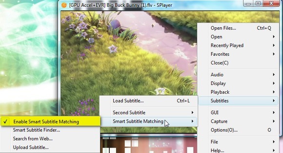 Splayer: un reproductor multimedia portátil Play-All para Windows 6