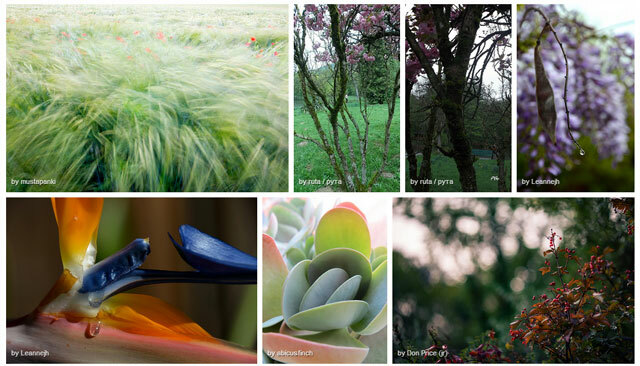 Vida secreta de las plantas