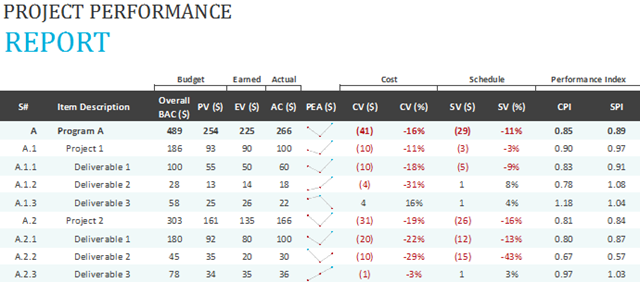 ExcelPMPerformanceReport1